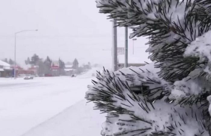 En cuanto al clima: perspectivas para La Niña