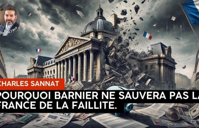 “¿Falta de presupuesto y si Macron activó el artículo 16?” ». Editado por Charles SANNAT