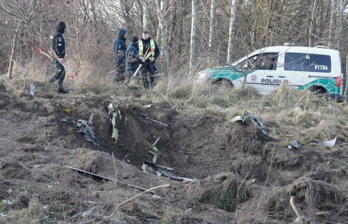 Se estrella un avión en Lituania: se encontraron cajas negras, las autoridades alemanas llegaron a Vilnius para investigar