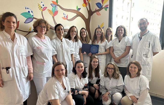 Dordoña. El servicio de neonatología del centro hospitalario de Périgueux premiado