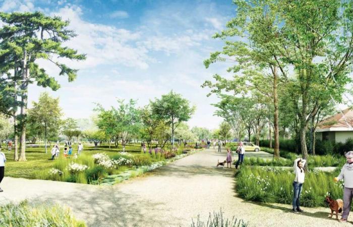 Essonne: el parque Châtaigneraie ha comenzado su transformación