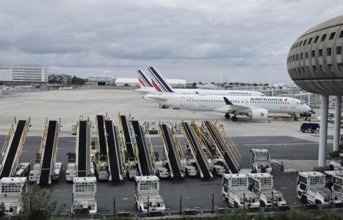 Pistas cerradas, drones, búsquedas… La desaparición de un perro causa estragos en el aeropuerto Charles-de-Gaulle