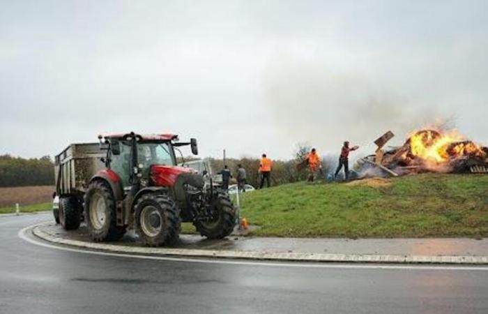 acciones en Indre, Deux-Sèvres y Vienne