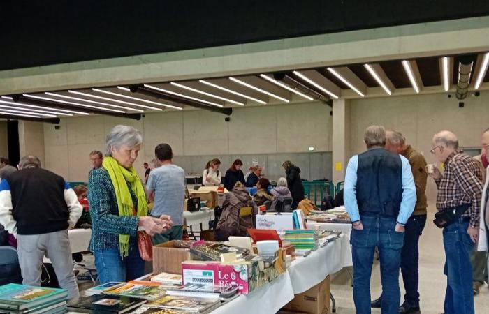 Onet-le-Château. Los libros y discos usados ​​fueron el centro de atención en el Athyrium