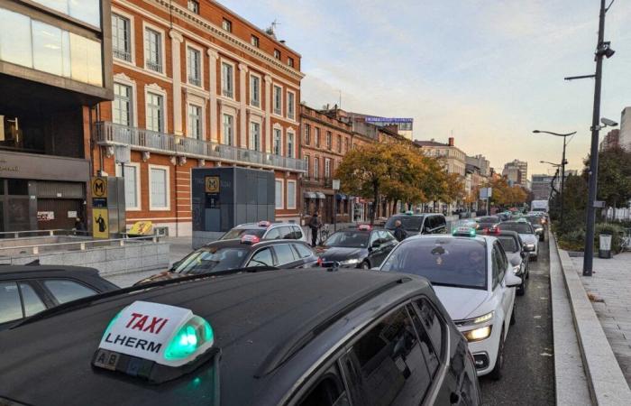 Entre la recogida y el filtrado de presas, los taxis se movilizaron en Toulouse