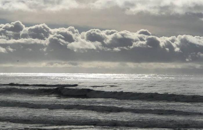 ¿Cómo será el clima este invierno? Aquí están las primeras tendencias.