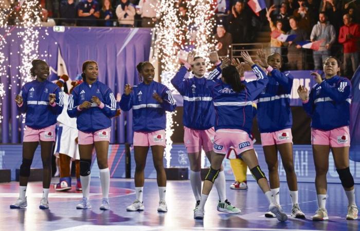 Balonmano: “Soy parte de la continuidad de Olivier Krumbholz”, afirma Sébastien Gardillou