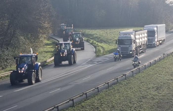 Una gran procesión de tractores toma la autopista hacia Lille.