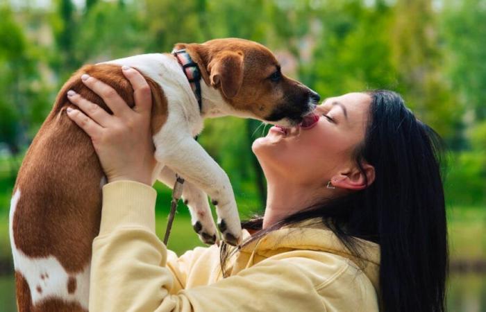 Higiene: No dejes que un perro te lama la cara