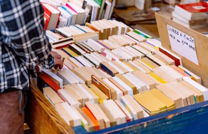 ¿Deben gravarse o no los libros de segunda mano?