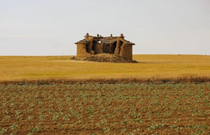 Castilla y León: Convocadas las ayudas para los emprendedores de Tierra de Campos