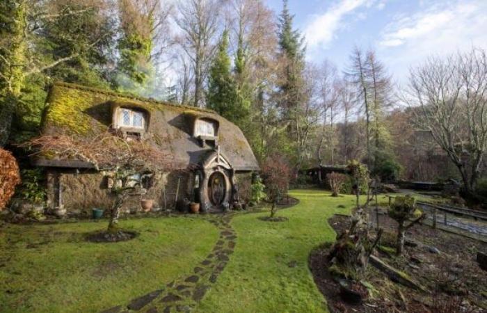 Un ingenioso leñador de 90 años ha construido su propia casa donde vive de forma totalmente independiente, lejos de las comodidades modernas.