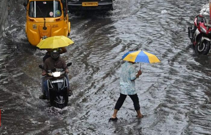 Lluvia en Tamil Nadu: el gobierno coloca previamente equipos SDRF/NDRF en los distritos | Noticias de Chennai