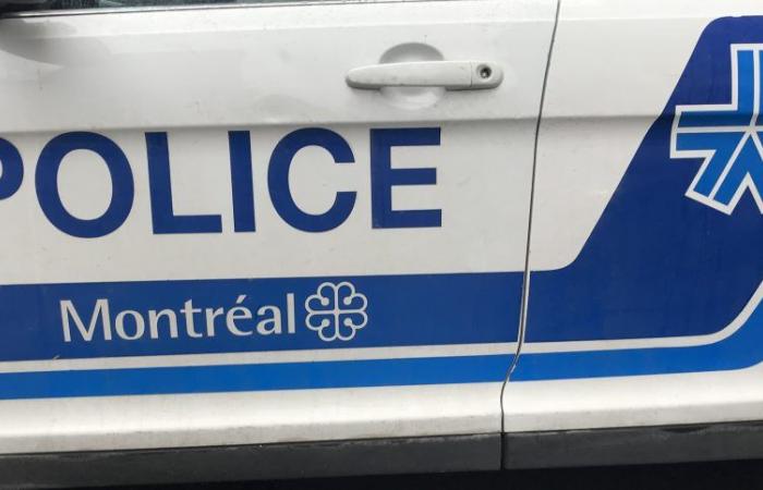 La SPVM en Sainte-Rose para encontrar las armas de un asesinato de 2022