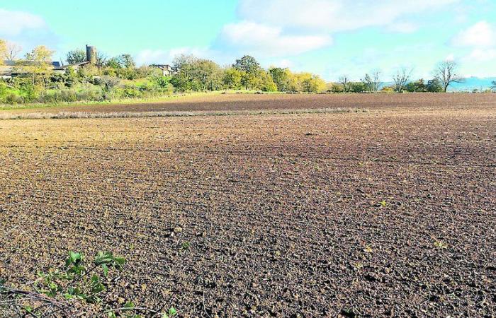 Zona de viajeros: “Estamos amargados”, los vecinos de esta comuna de Aveyron se oponen al proyecto