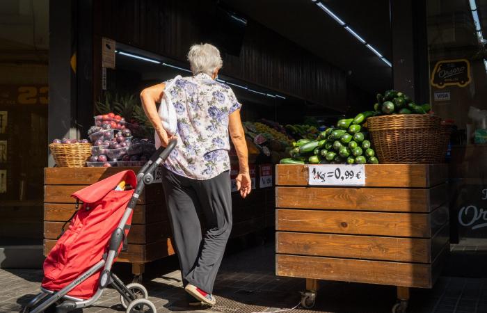 La agricultura urbana en Barcelona, ​​un tesoro sin explotar