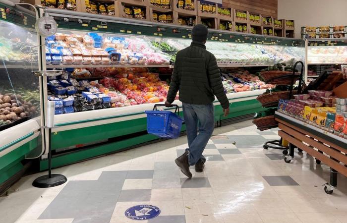 Nunavut y Labrador del Norte | Precios exorbitantes de los alimentos a pesar de los subsidios federales