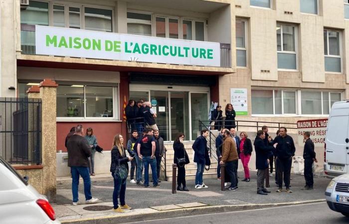 VIVIR. Agricultores enojados: fin del bloqueo del peaje sur de la A9 en Perpiñán, este martes por la noche