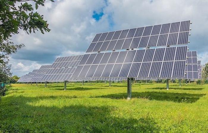 NÉELA – Una primicia solar y local para las Landas de Armagnac