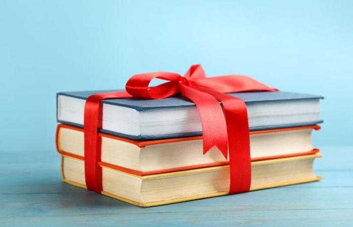 Idea de regalo de Navidad 2024: ¿Qué libro regalar a un fanático de la moda? Descubre la colección Little Book