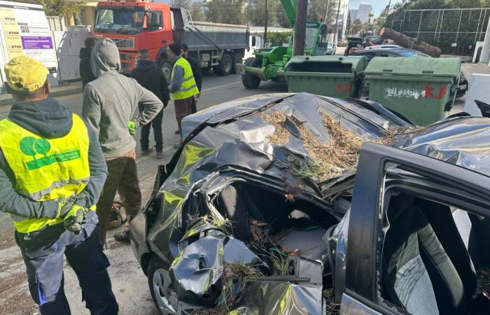 Equipos limpiando las secuelas de los fuertes vientos del fin de semana, los alcaldes de Nicosia instan a la vigilancia