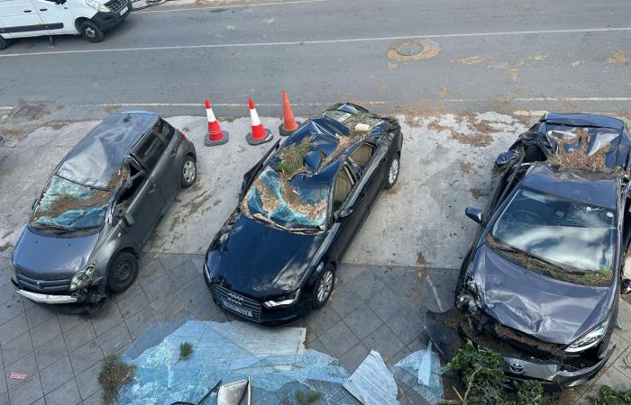 Equipos limpiando las secuelas de los fuertes vientos del fin de semana, los alcaldes de Nicosia instan a la vigilancia