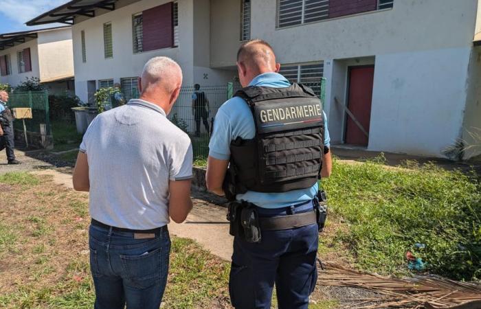 Operación de “seguridad” en el barrio de Frangipanier en Macouria