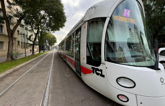 TCL: el tráfico de tranvías sigue interrumpido en Lyon este martes