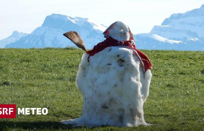 Del blanco al verde: ¡adiós a la nieve! – Tiempo