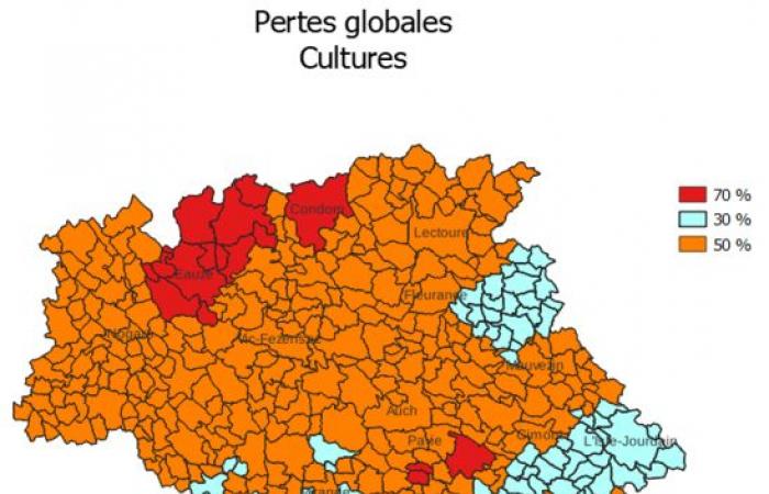 AGRICULTURA | Desgravación del impuesto sobre bienes inmuebles no urbanizables (TFNB) – Notas de prensa – Sala de prensa – Publicaciones