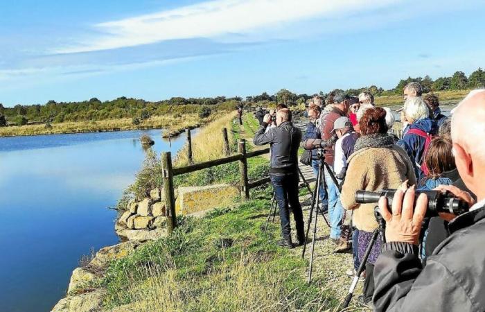 El Parque Natural Regional celebra en el Coro de Vannes, este domingo 1 de diciembre