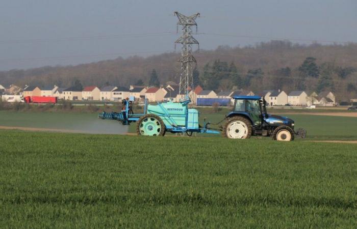 Artificialización de los suelos en Sena y Marne: la protección de las tierras agrícolas suscita un debate