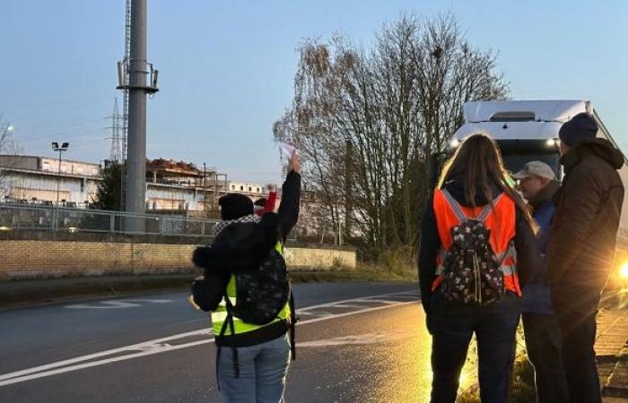 Huelga de profesores: “A los estudiantes que no sigan el ritmo, los expulsaremos del sistema escolar”, preocupa Charlotte en La Louvière