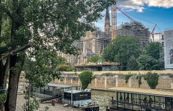 Reapertura de Notre-Dame de París: el concierto con los artistas previsto para este 7 de diciembre