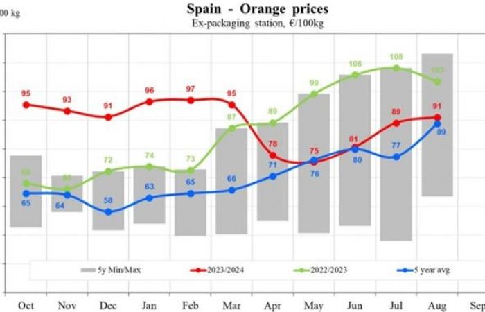 Los precios de las naranjas en la UE caerán un 17,83% en 2024