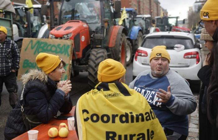 Votación de los diputados franceses sobre Mercosur: ¿qué impacto a nivel europeo?