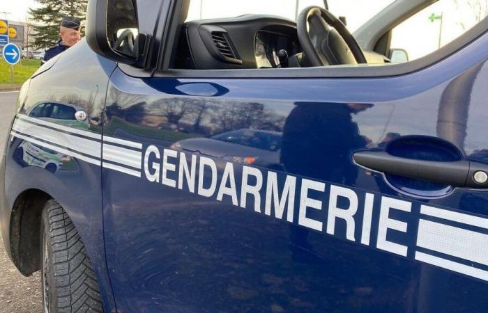 Inquietante desaparición de una adolescente en Côtes d’Armor