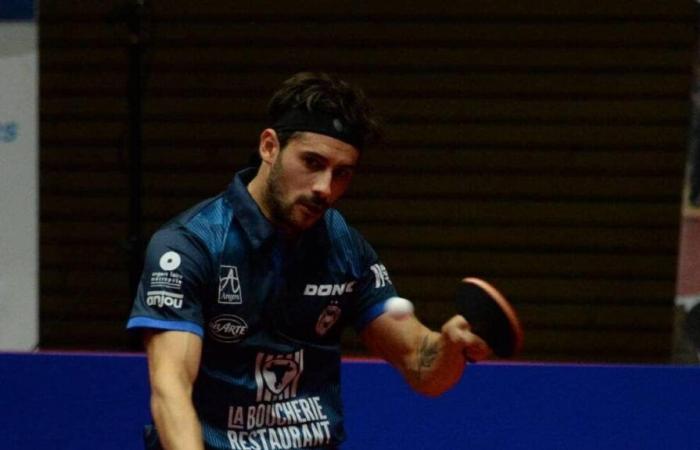 Tenis de mesa. Los lobos de Angers se revelan