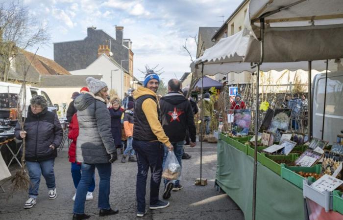 Pese a la nieve y el temporal, esta feria de Orne sobrevive: “Era complicada”