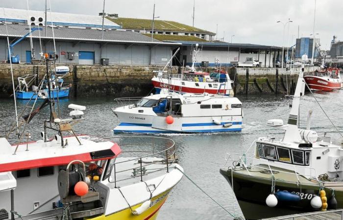 Registros en la sede de la empresa de economía mixta Keroman de Lorient: “El procedimiento se desarrolló con total transparencia”, asegura Olivier Le Nézet