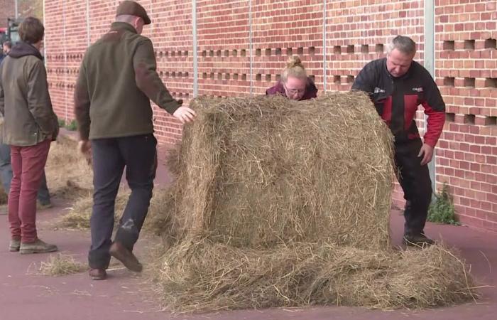 Tractores, fardos de paja, tierra… Por qué los agricultores enojados se manifiestan frente a la agencia del agua en Rouen