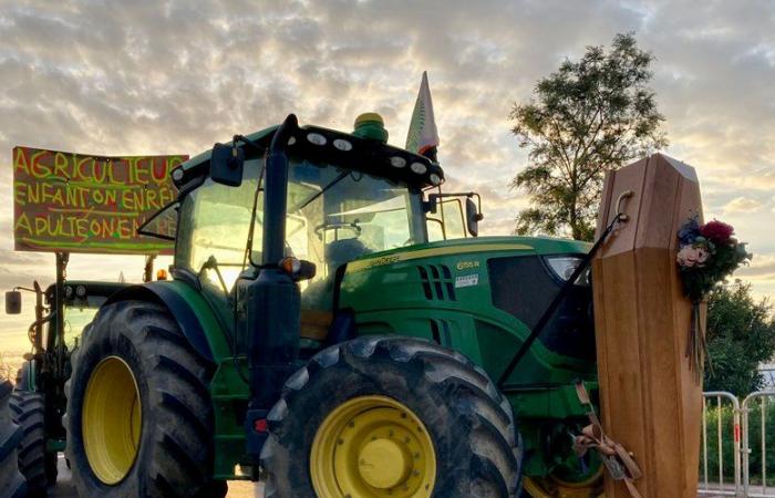 VIVIR. Agricultores enojados: arrancan las procesiones de Perpiñán y Pollestres, sigue la movilización de este martes