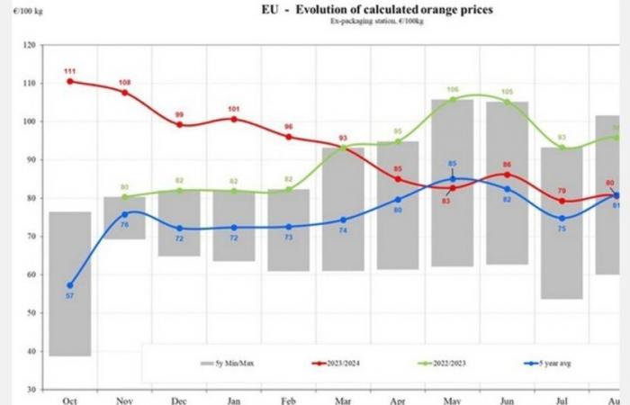 Los precios de las naranjas en la UE caerán un 17,83% en 2024