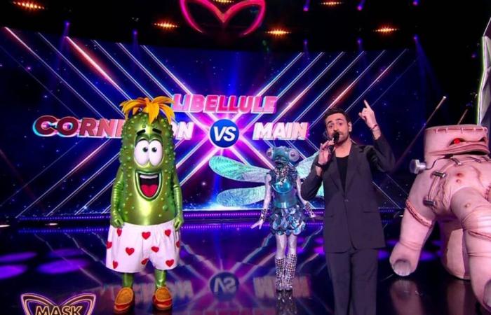 Camille Combal y “Mask Singer”: el anuncio totalmente inesperado de TF1