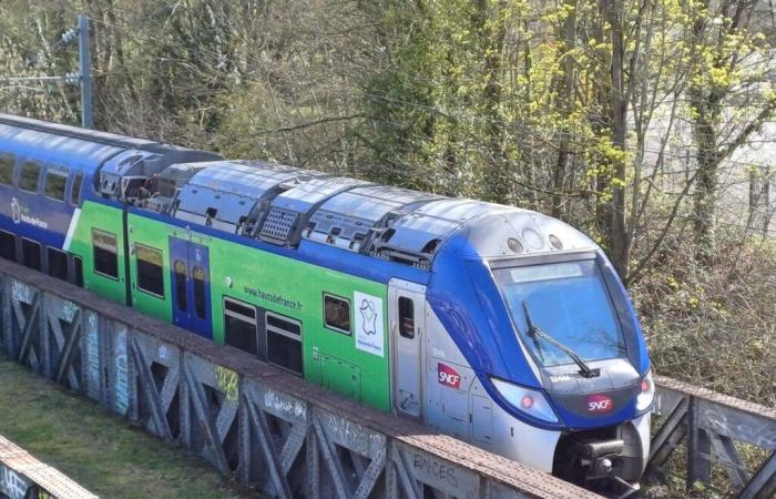 Tras un “acto de vandalismo”, trenes retrasados ​​o cancelados entre Oise y París