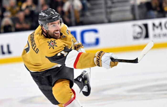 Washington Capitals vs Vegas Golden Knights TRANSMISIÓN EN VIVO GRATIS (17/11/24): Vea la temporada regular de la NHL en línea | Hora, TV, canal.