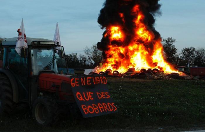 VIVIR. Agricultores enojados: fin del bloqueo del peaje sur de la A9 en Perpiñán, este martes por la noche