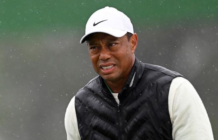 Nuevo golpe para Tiger Woods