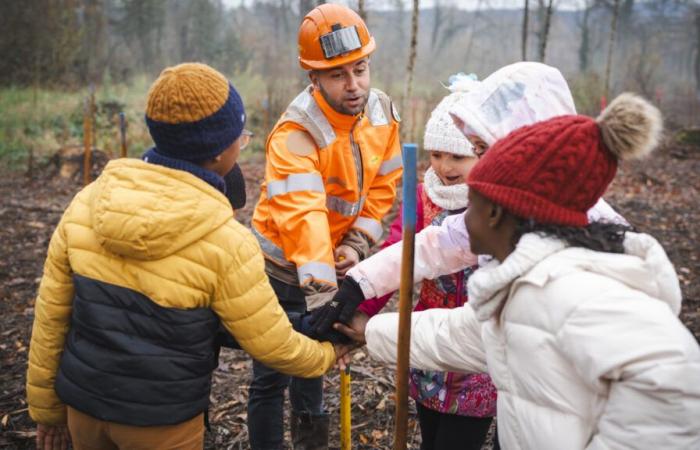 Alta Saboya. En Poisy, 800 árboles plantados por 145 estudiantes y el grupo Colas