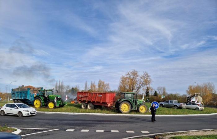 Movimiento agrícola en Lot-et-Garonne: los agricultores realizan acciones en Villeneuve-sur-Lot